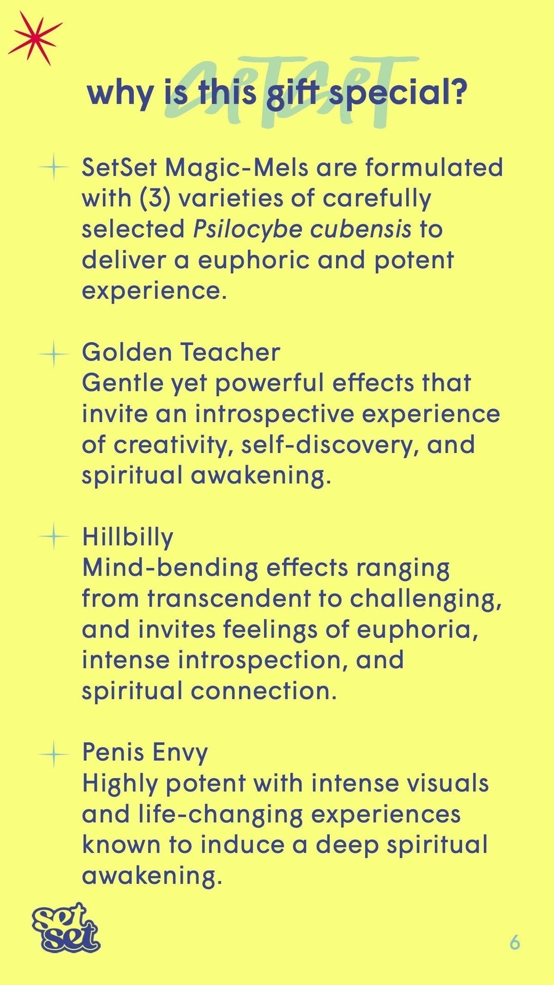 Magic - Mels Guide + Gift✨ - SetSet