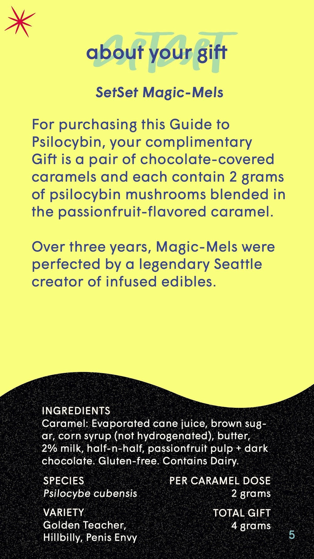 Magic - Mels Guide + Gift✨ - SetSet