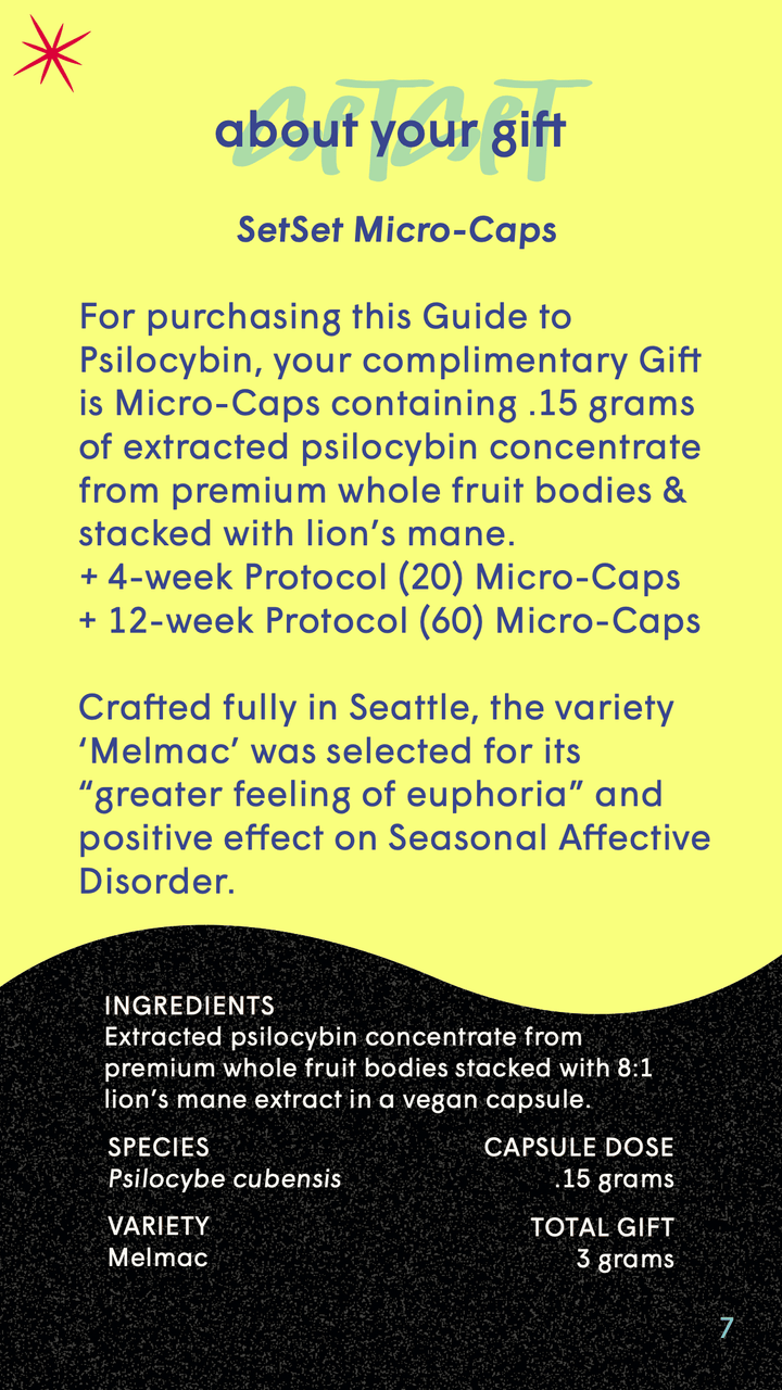 Micro - Caps Guide + Gift✨ - SetSet