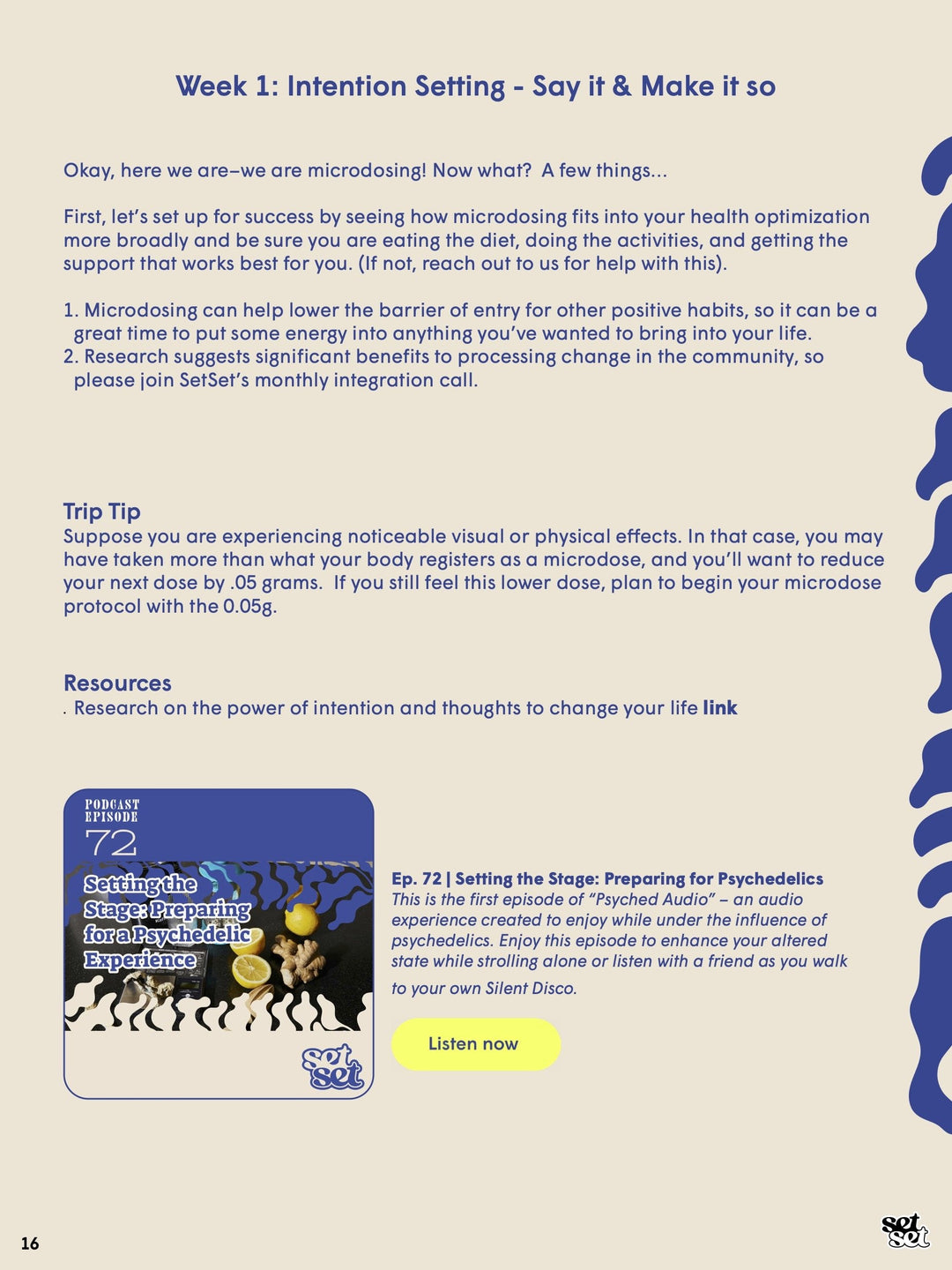 Microdosing Psilocybin Guide - SetSet
