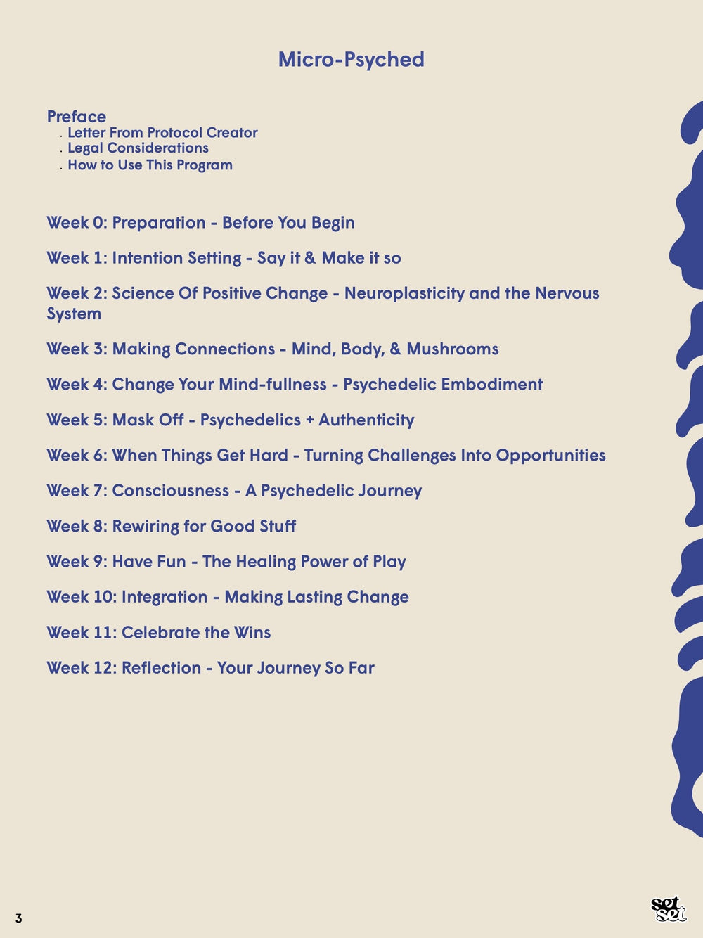 Microdosing Psilocybin Guide - SetSet