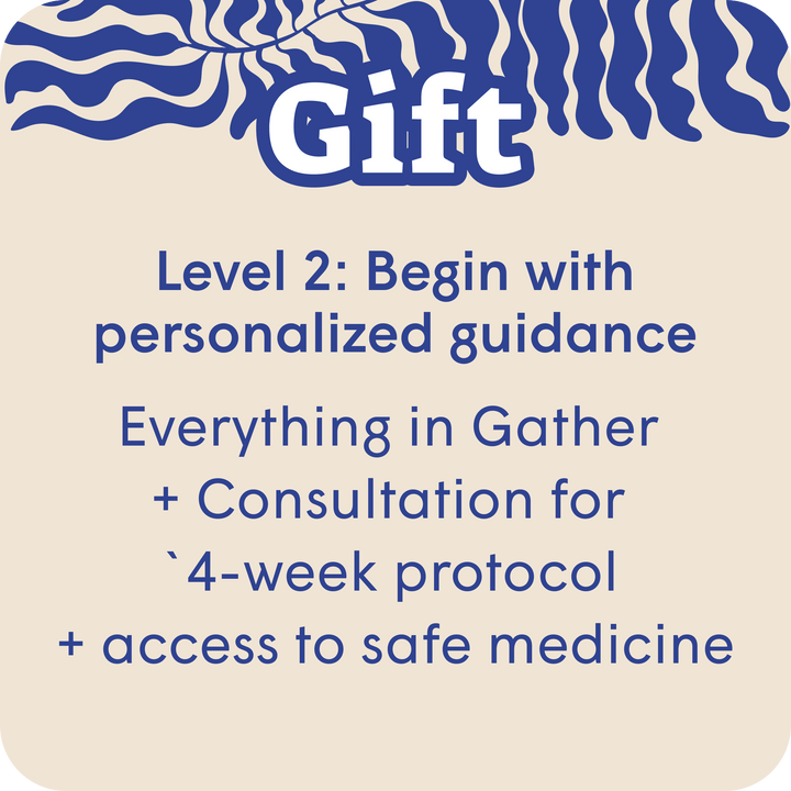 Microdosing Workshop - SetSet