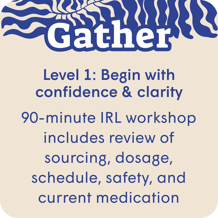 Microdosing Workshop - SetSet