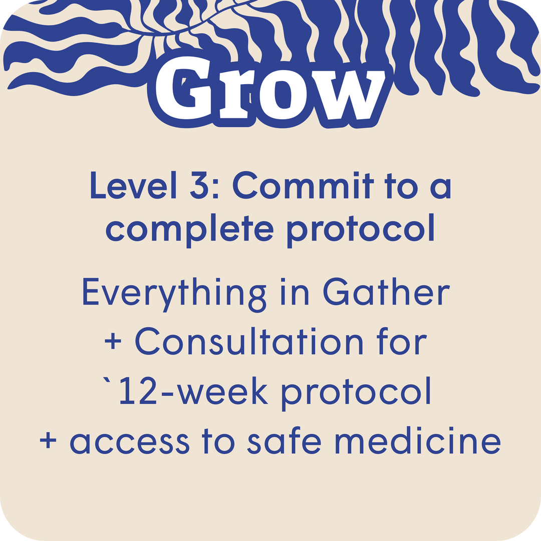 Microdosing Workshop - SetSet