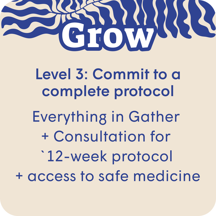 Microdosing Workshop - SetSet