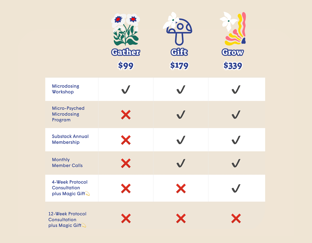 Microdosing Workshop - SetSet