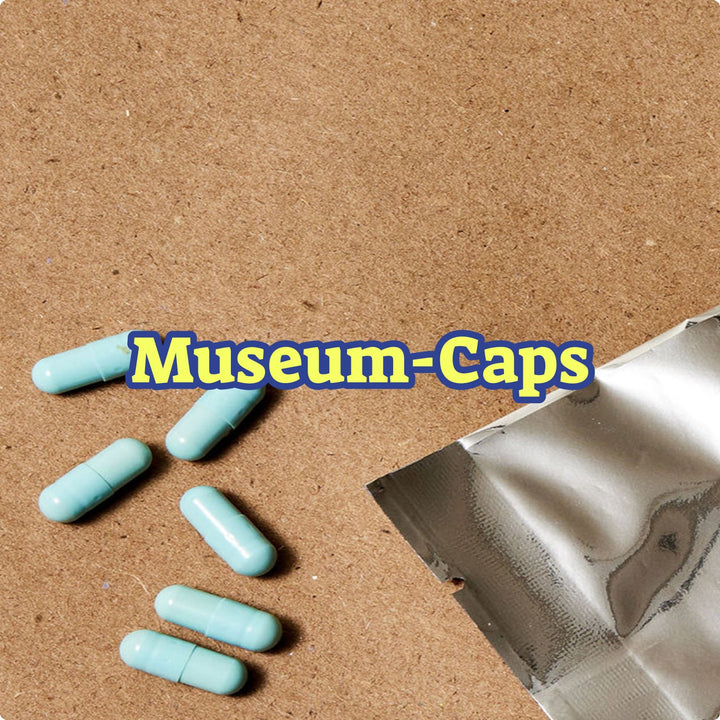 Museum - Caps Guide + Gift✨ - SetSet