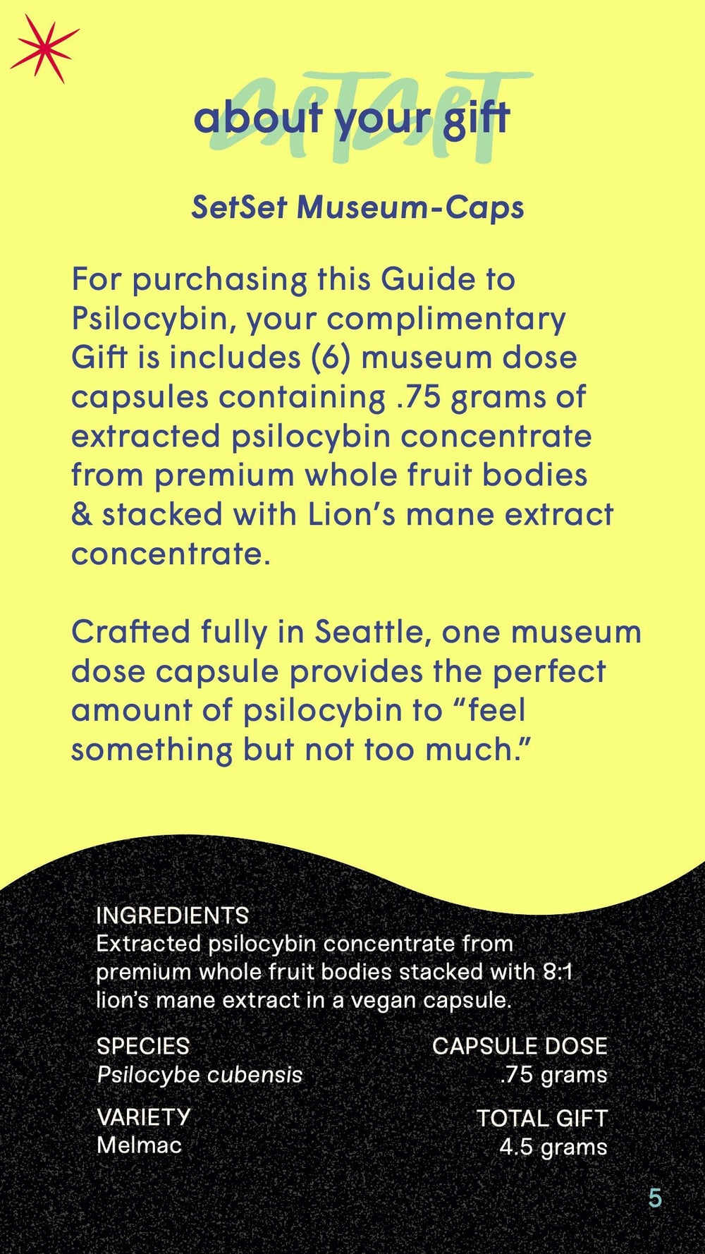 Museum - Caps Guide + Gift✨ - SetSet