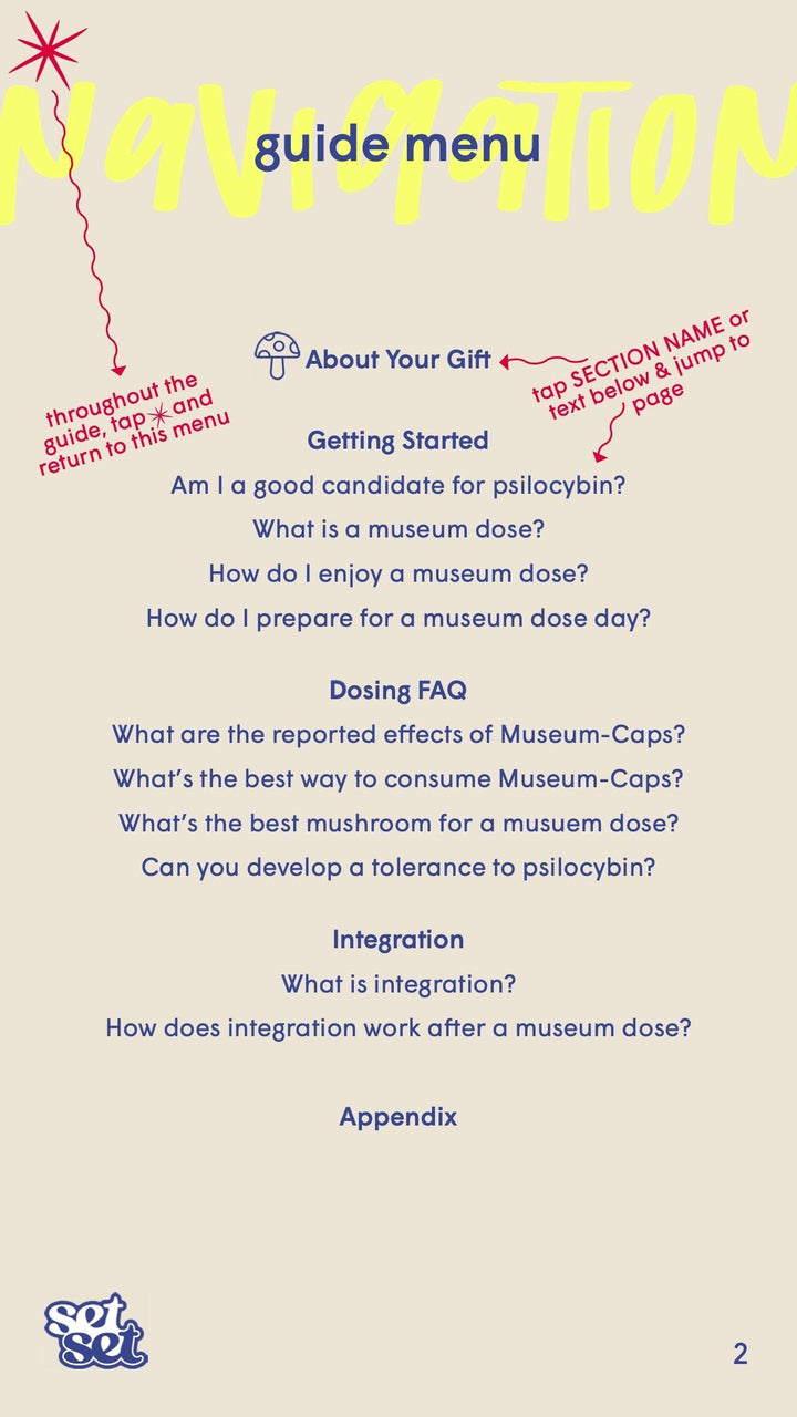 Museum - Caps Guide + Gift✨ - SetSet