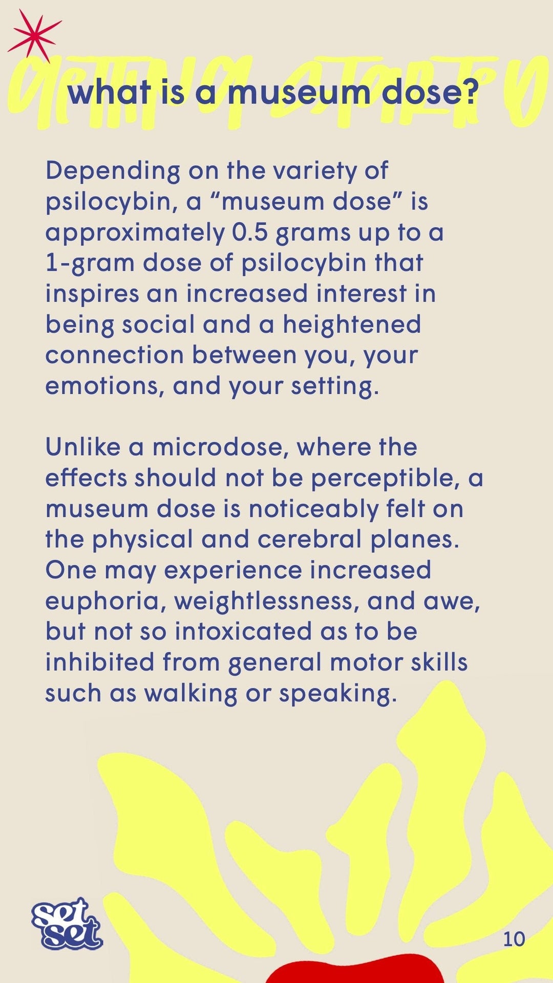 Museum - Caps Guide + Gift✨ - SetSet