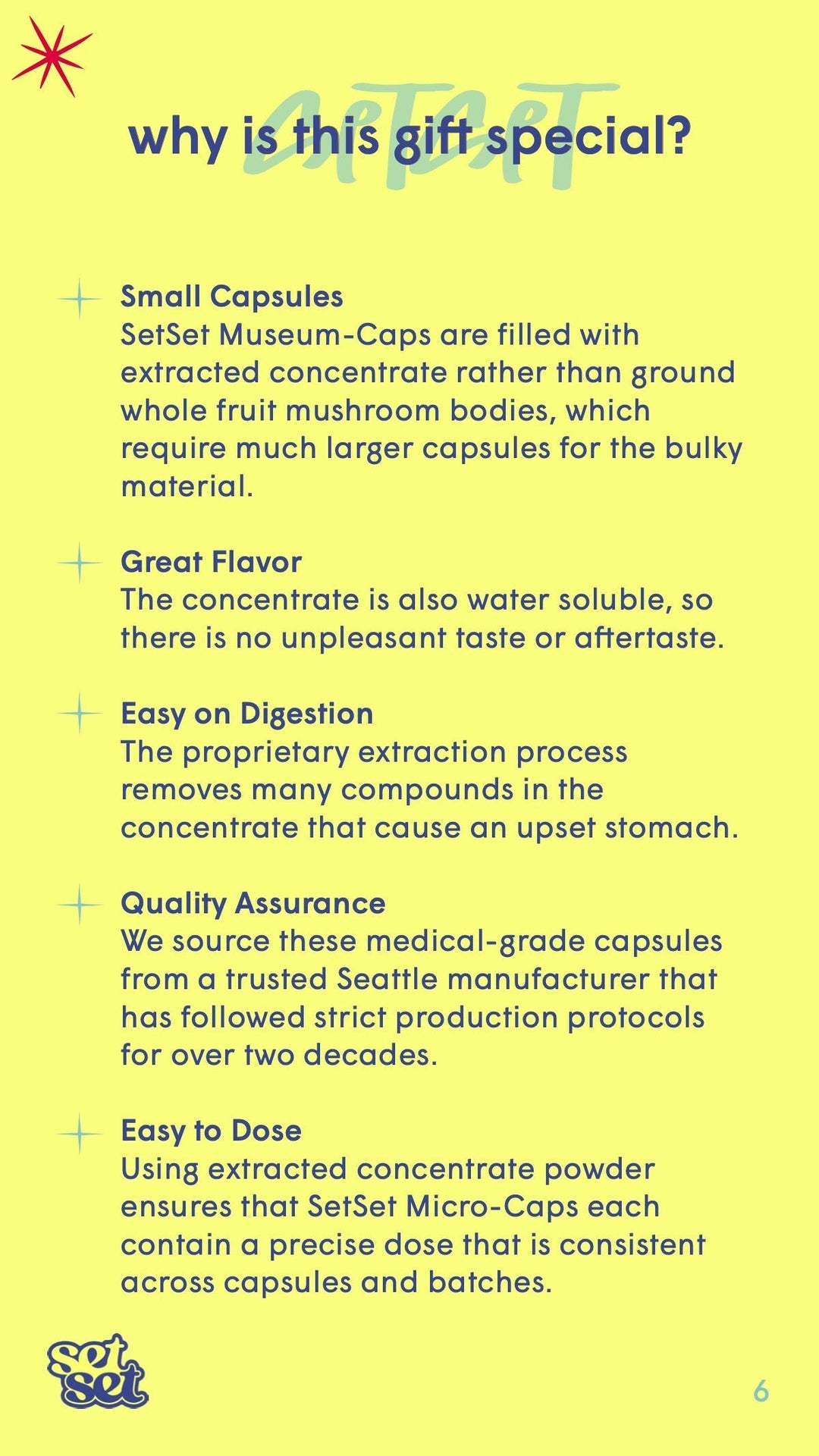 Museum - Caps Guide + Gift✨ - SetSet