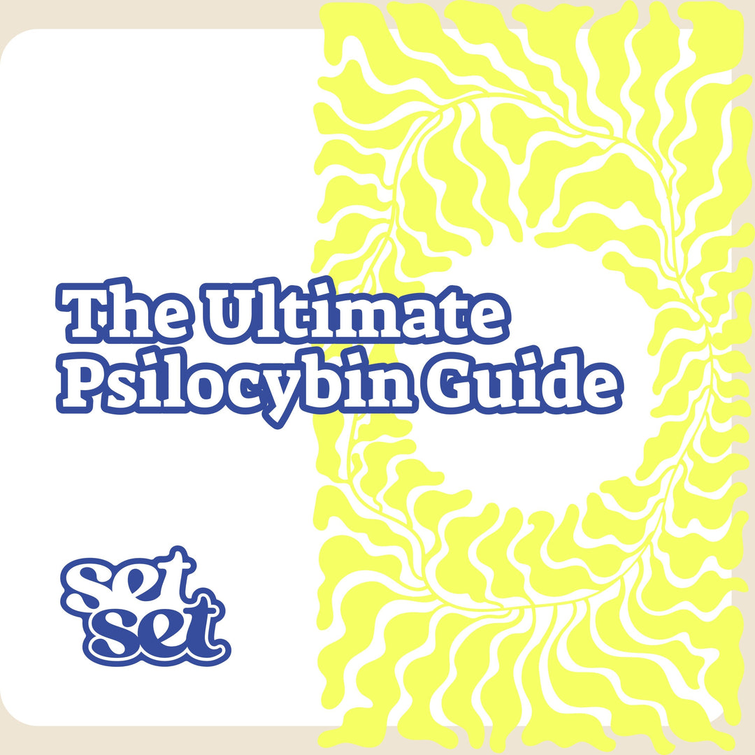 Psilocybin Guide – Safe Use, Dosing & Integration - SetSet