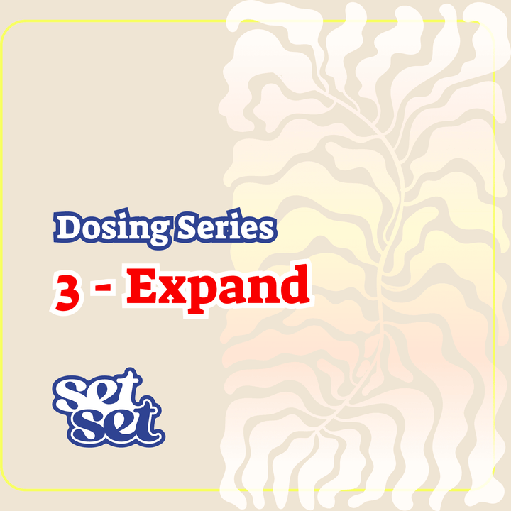 Psychedelic Exploration Toolkit - SetSet